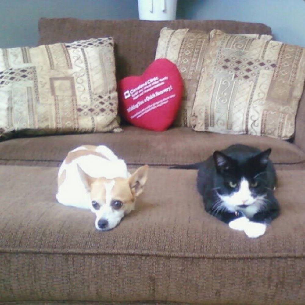 Meet your Posher, Lisa